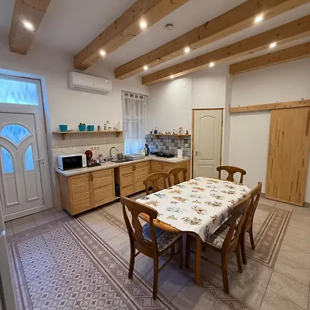 Irma Vendeghaz בדקסוניטומאי