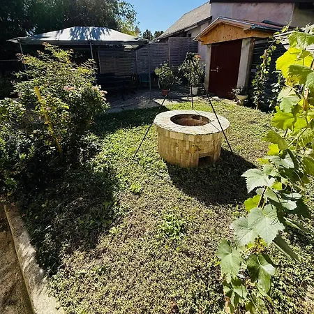 Irma Vendeghaz בדקסוניטומאי