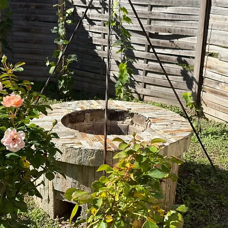 Irma Vendeghaz * בדקסוניטומאי